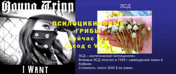 круглые Алзамай